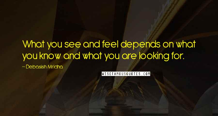 Debasish Mridha Quotes: What you see and feel depends on what you know and what you are looking for.