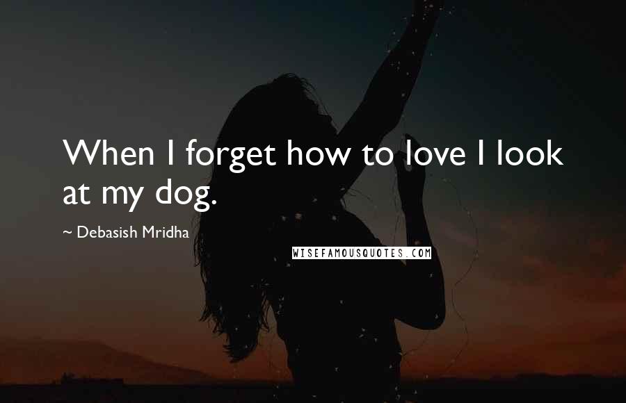 Debasish Mridha Quotes: When I forget how to love I look at my dog.