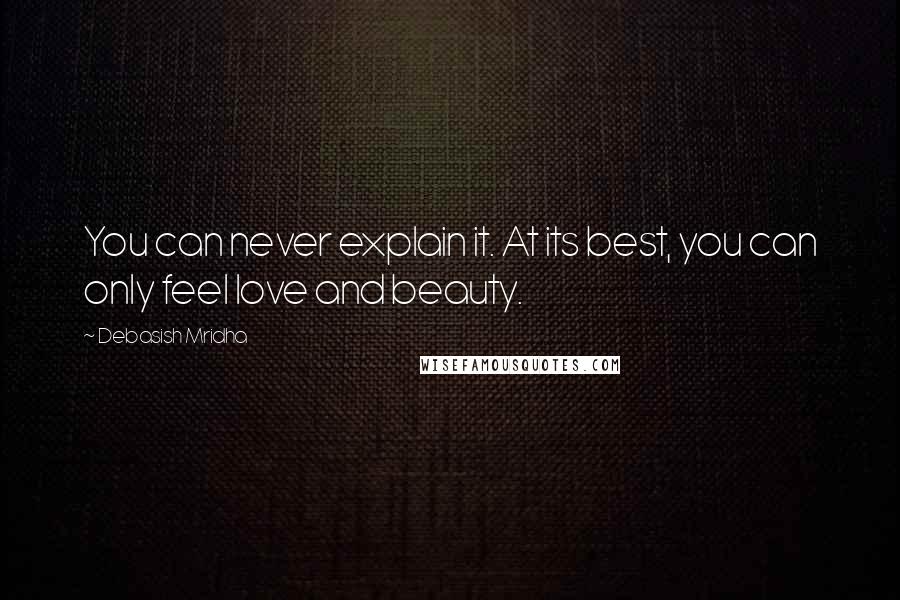 Debasish Mridha Quotes: You can never explain it. At its best, you can only feel love and beauty.