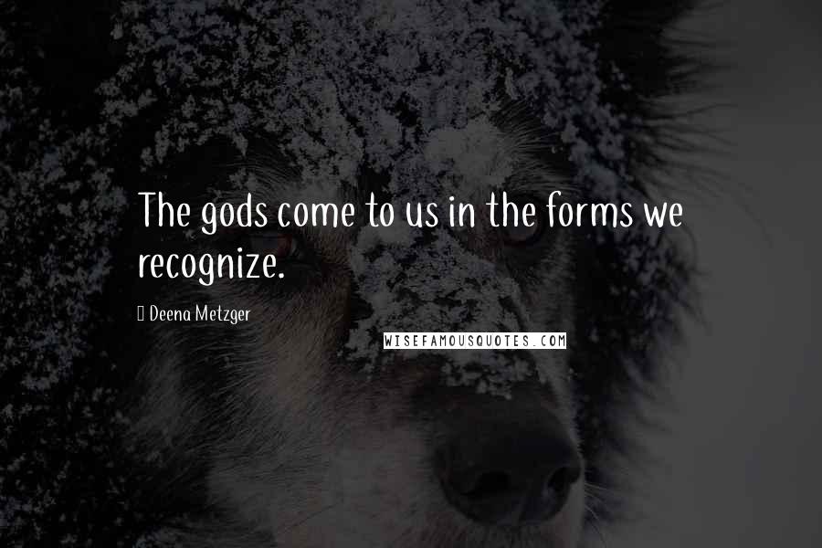 Deena Metzger Quotes: The gods come to us in the forms we recognize.