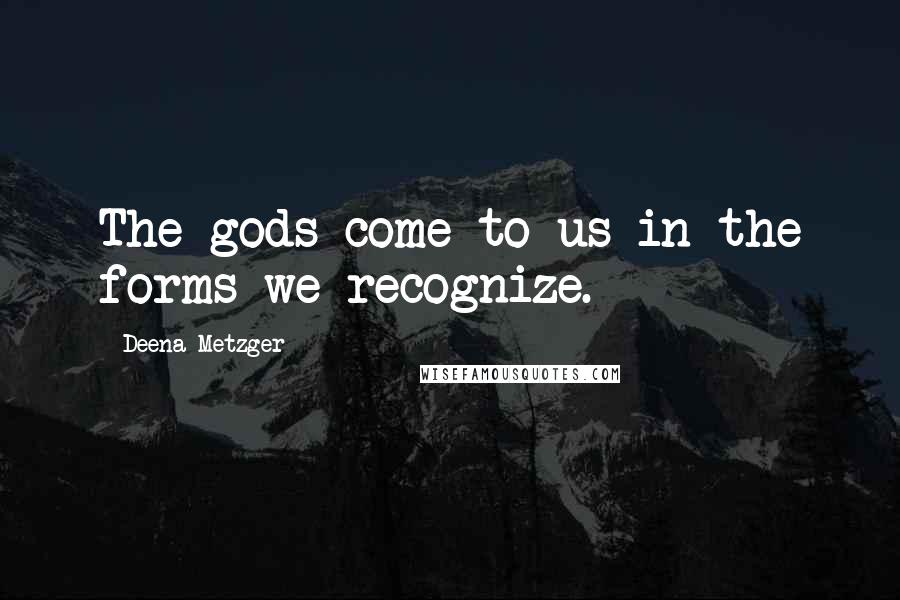 Deena Metzger Quotes: The gods come to us in the forms we recognize.