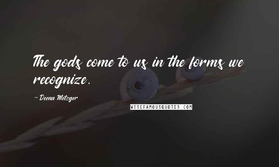 Deena Metzger Quotes: The gods come to us in the forms we recognize.