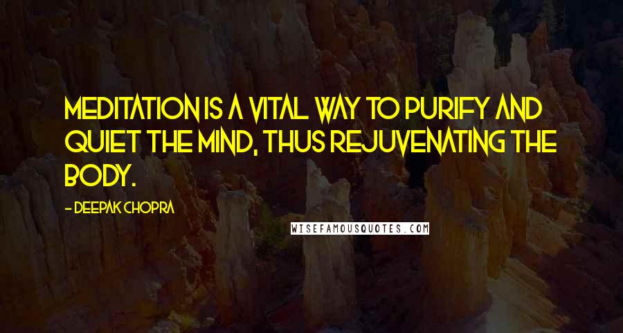 Deepak Chopra Quotes: Meditation is a vital way to purify and quiet the mind, thus rejuvenating the body.