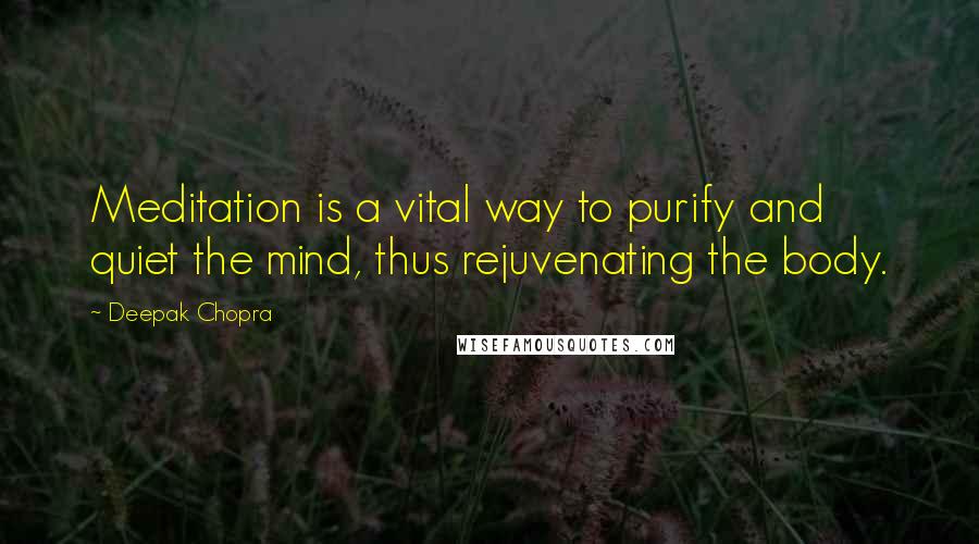 Deepak Chopra Quotes: Meditation is a vital way to purify and quiet the mind, thus rejuvenating the body.