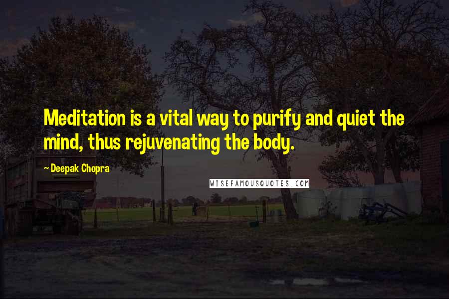 Deepak Chopra Quotes: Meditation is a vital way to purify and quiet the mind, thus rejuvenating the body.