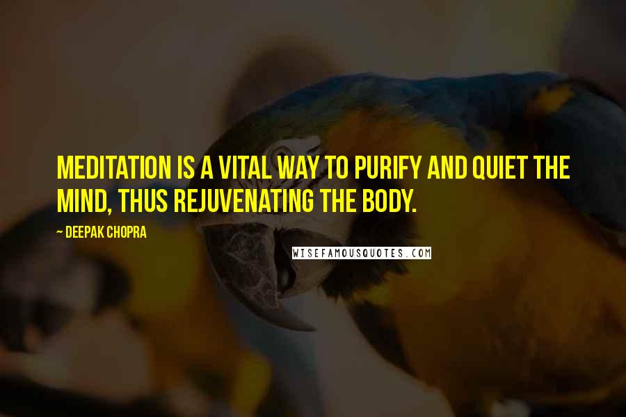 Deepak Chopra Quotes: Meditation is a vital way to purify and quiet the mind, thus rejuvenating the body.