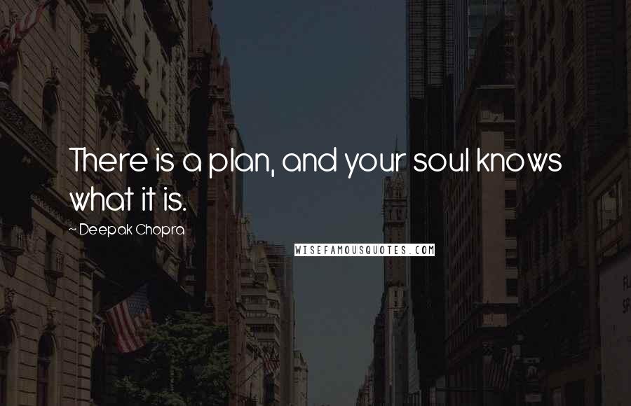 Deepak Chopra Quotes: There is a plan, and your soul knows what it is.