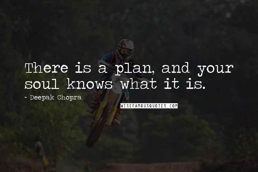 Deepak Chopra Quotes: There is a plan, and your soul knows what it is.