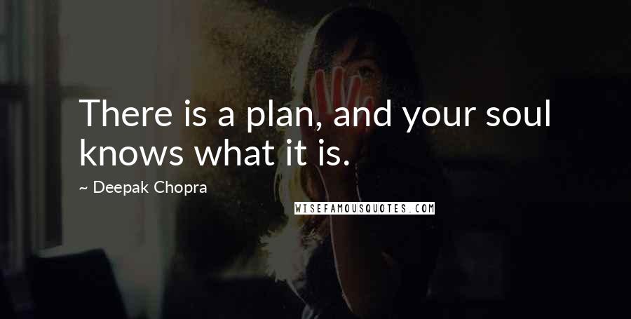 Deepak Chopra Quotes: There is a plan, and your soul knows what it is.