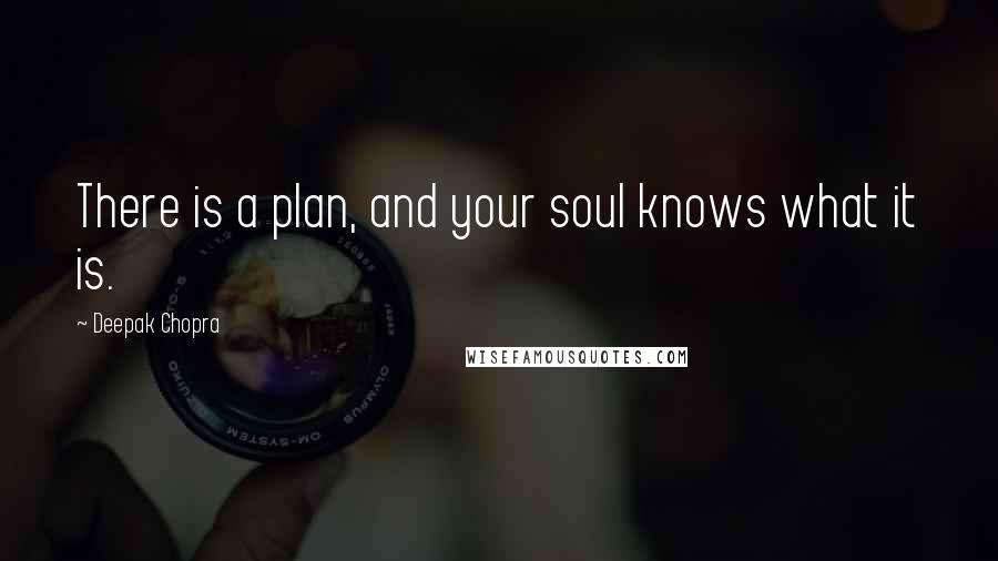 Deepak Chopra Quotes: There is a plan, and your soul knows what it is.
