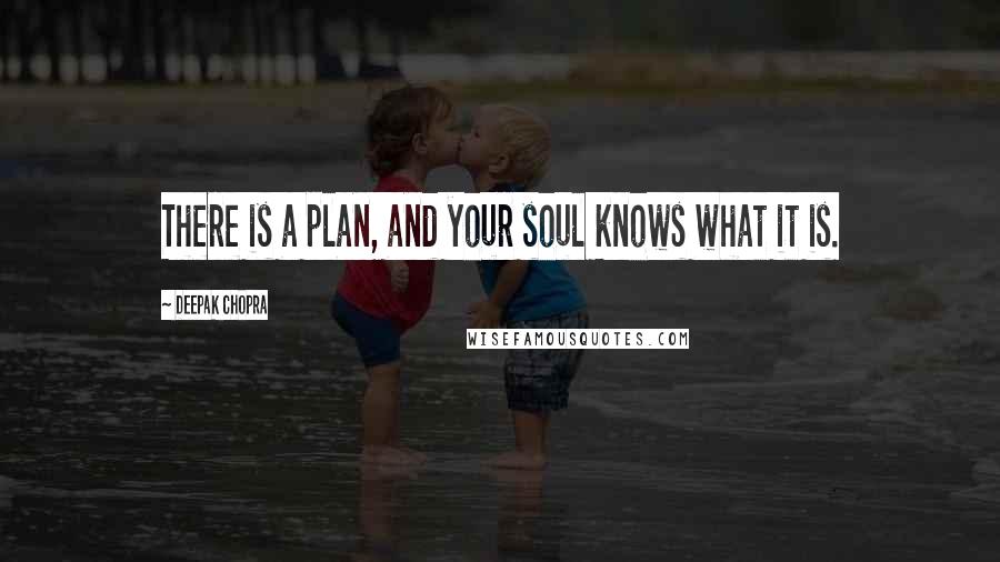 Deepak Chopra Quotes: There is a plan, and your soul knows what it is.