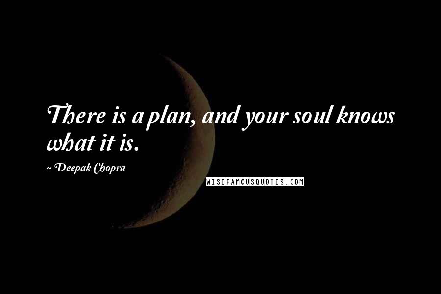Deepak Chopra Quotes: There is a plan, and your soul knows what it is.