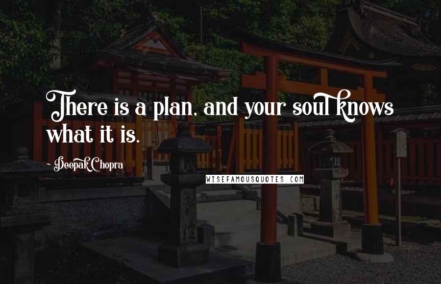 Deepak Chopra Quotes: There is a plan, and your soul knows what it is.