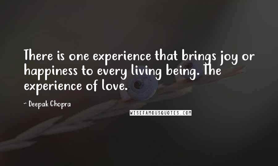 Deepak Chopra Quotes: There is one experience that brings joy or happiness to every living being. The experience of love.
