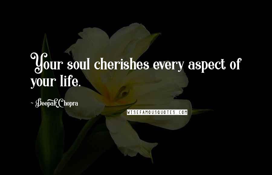 Deepak Chopra Quotes: Your soul cherishes every aspect of your life.