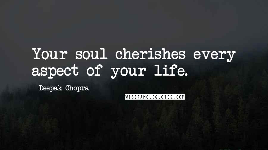 Deepak Chopra Quotes: Your soul cherishes every aspect of your life.