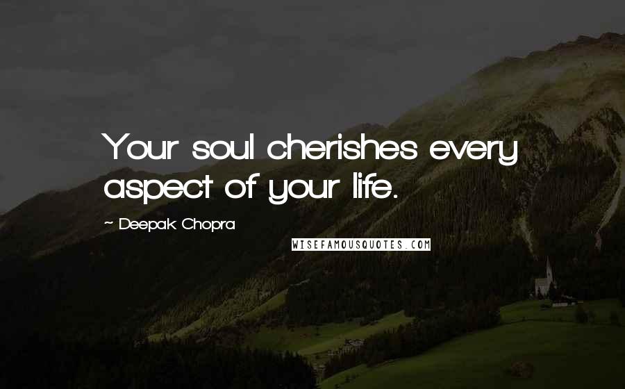 Deepak Chopra Quotes: Your soul cherishes every aspect of your life.