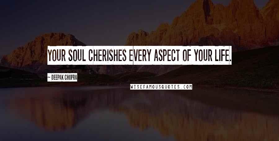 Deepak Chopra Quotes: Your soul cherishes every aspect of your life.