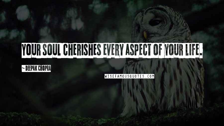 Deepak Chopra Quotes: Your soul cherishes every aspect of your life.