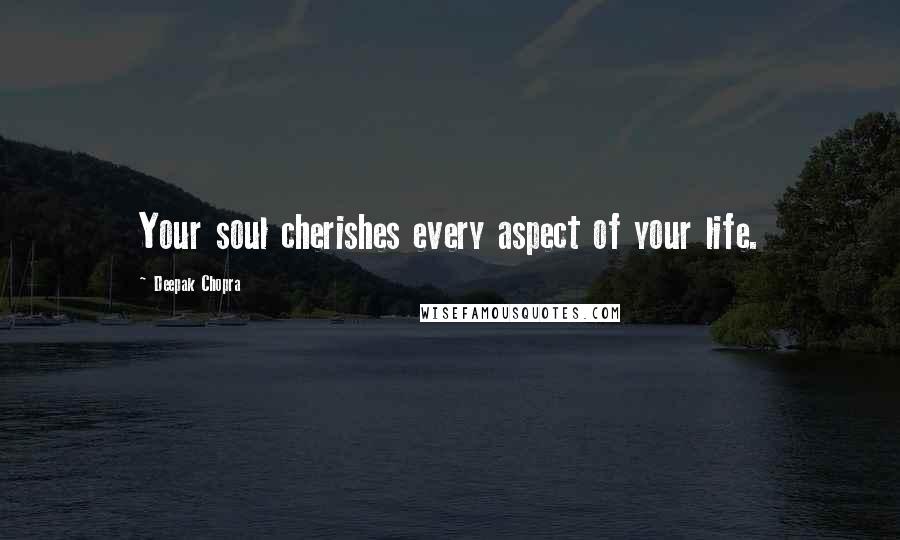 Deepak Chopra Quotes: Your soul cherishes every aspect of your life.