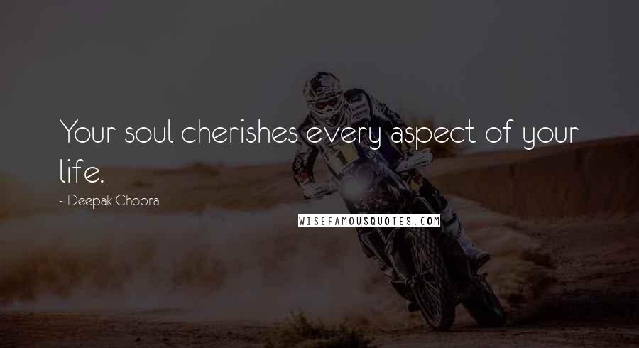 Deepak Chopra Quotes: Your soul cherishes every aspect of your life.