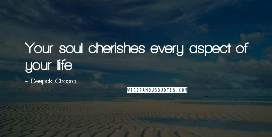 Deepak Chopra Quotes: Your soul cherishes every aspect of your life.