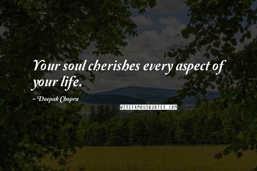 Deepak Chopra Quotes: Your soul cherishes every aspect of your life.