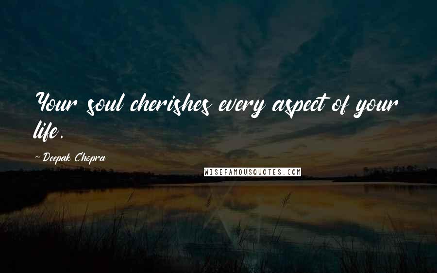 Deepak Chopra Quotes: Your soul cherishes every aspect of your life.