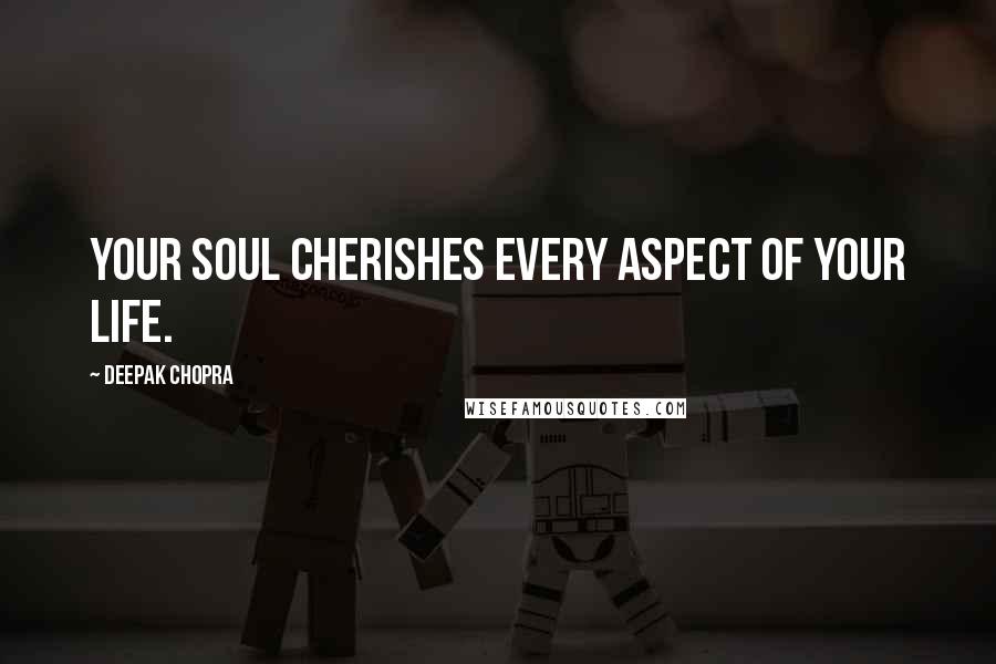 Deepak Chopra Quotes: Your soul cherishes every aspect of your life.