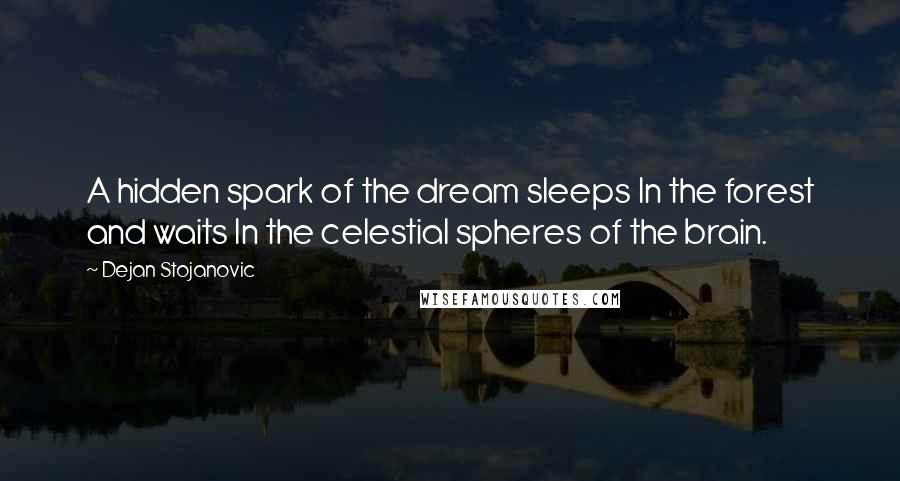 Dejan Stojanovic Quotes: A hidden spark of the dream sleeps In the forest and waits In the celestial spheres of the brain.