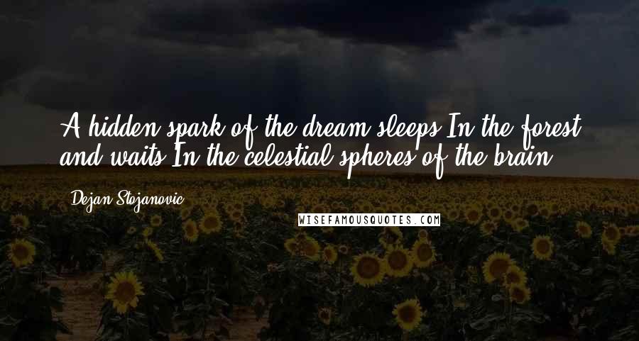 Dejan Stojanovic Quotes: A hidden spark of the dream sleeps In the forest and waits In the celestial spheres of the brain.