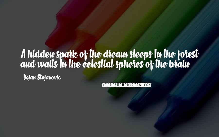 Dejan Stojanovic Quotes: A hidden spark of the dream sleeps In the forest and waits In the celestial spheres of the brain.