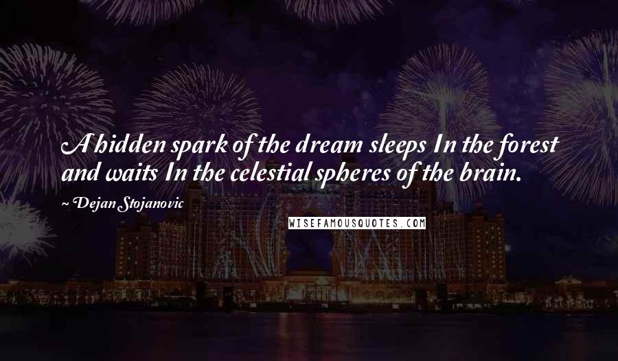 Dejan Stojanovic Quotes: A hidden spark of the dream sleeps In the forest and waits In the celestial spheres of the brain.