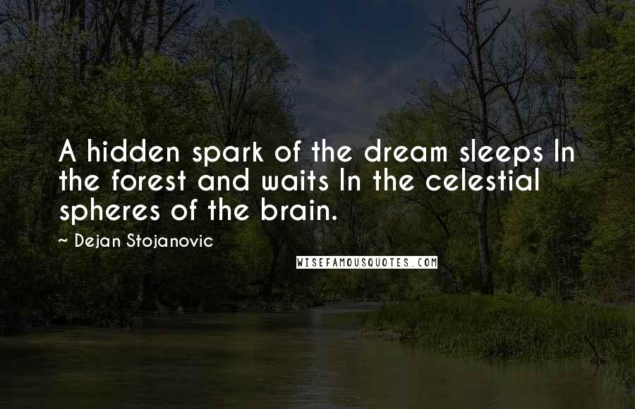 Dejan Stojanovic Quotes: A hidden spark of the dream sleeps In the forest and waits In the celestial spheres of the brain.