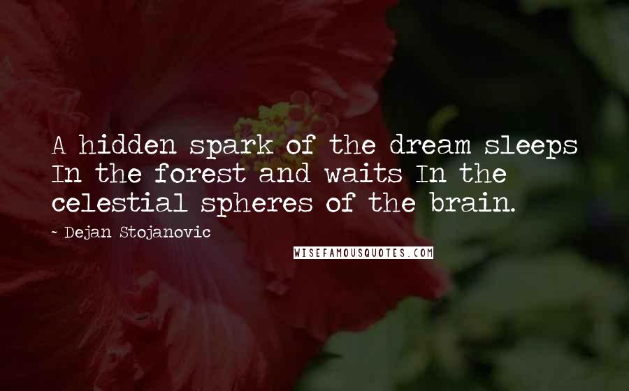 Dejan Stojanovic Quotes: A hidden spark of the dream sleeps In the forest and waits In the celestial spheres of the brain.