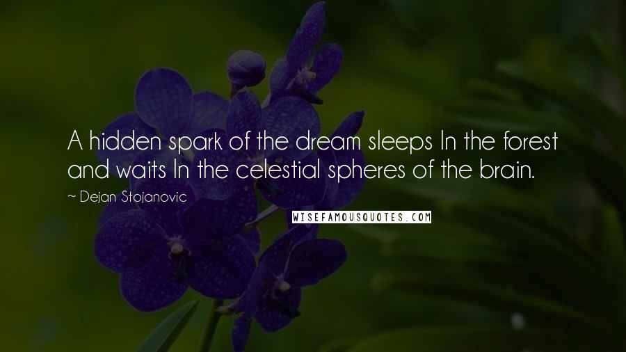 Dejan Stojanovic Quotes: A hidden spark of the dream sleeps In the forest and waits In the celestial spheres of the brain.