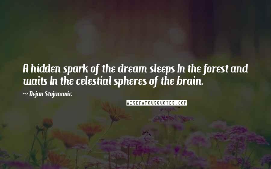 Dejan Stojanovic Quotes: A hidden spark of the dream sleeps In the forest and waits In the celestial spheres of the brain.