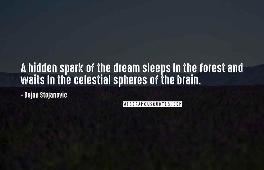 Dejan Stojanovic Quotes: A hidden spark of the dream sleeps In the forest and waits In the celestial spheres of the brain.