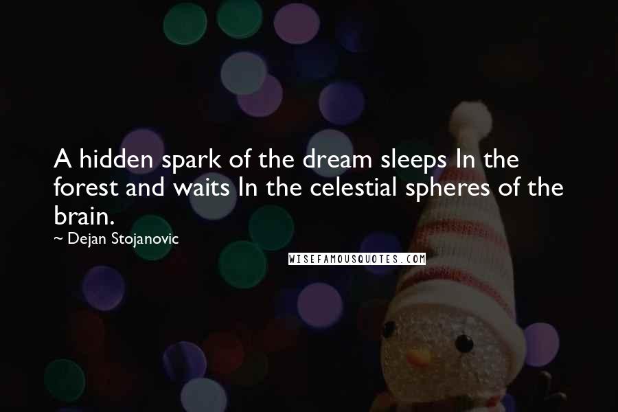 Dejan Stojanovic Quotes: A hidden spark of the dream sleeps In the forest and waits In the celestial spheres of the brain.