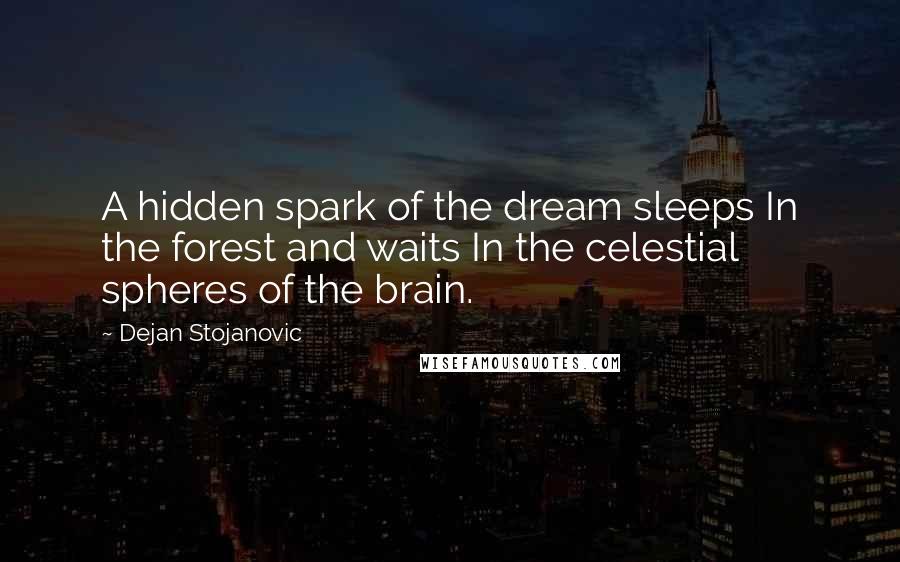 Dejan Stojanovic Quotes: A hidden spark of the dream sleeps In the forest and waits In the celestial spheres of the brain.