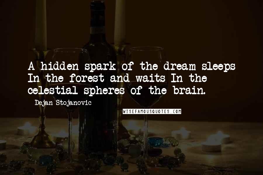 Dejan Stojanovic Quotes: A hidden spark of the dream sleeps In the forest and waits In the celestial spheres of the brain.