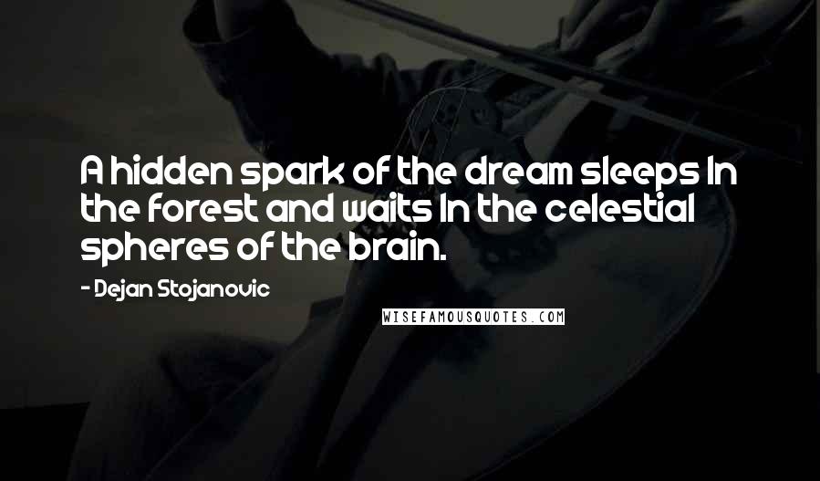 Dejan Stojanovic Quotes: A hidden spark of the dream sleeps In the forest and waits In the celestial spheres of the brain.