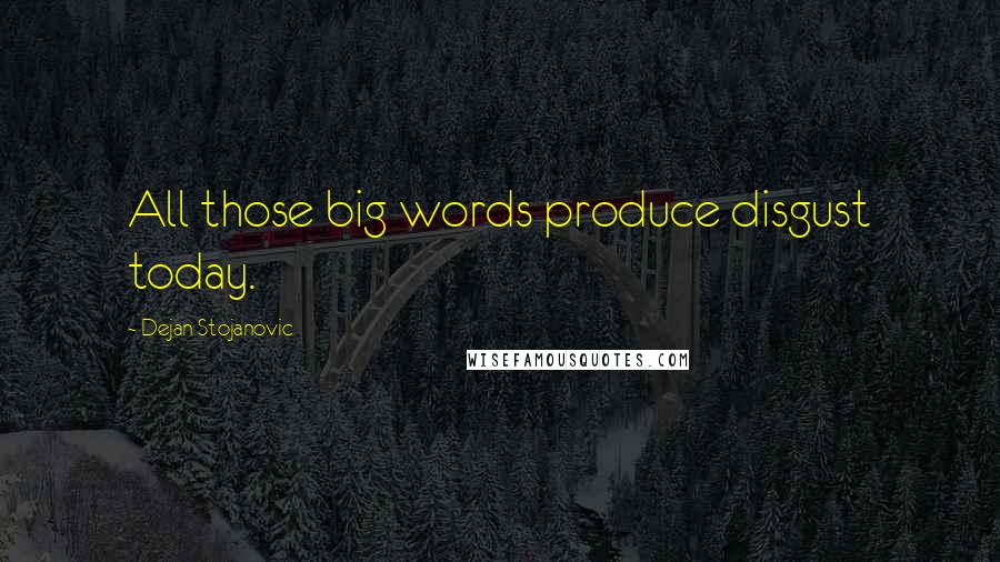 Dejan Stojanovic Quotes: All those big words produce disgust today.