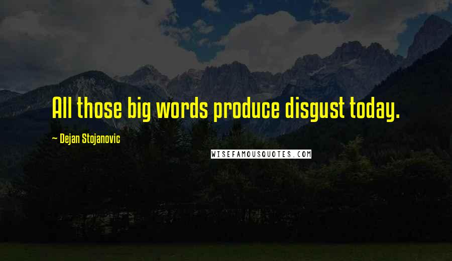 Dejan Stojanovic Quotes: All those big words produce disgust today.