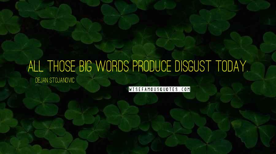 Dejan Stojanovic Quotes: All those big words produce disgust today.