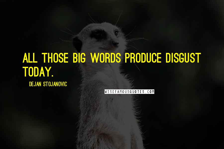 Dejan Stojanovic Quotes: All those big words produce disgust today.