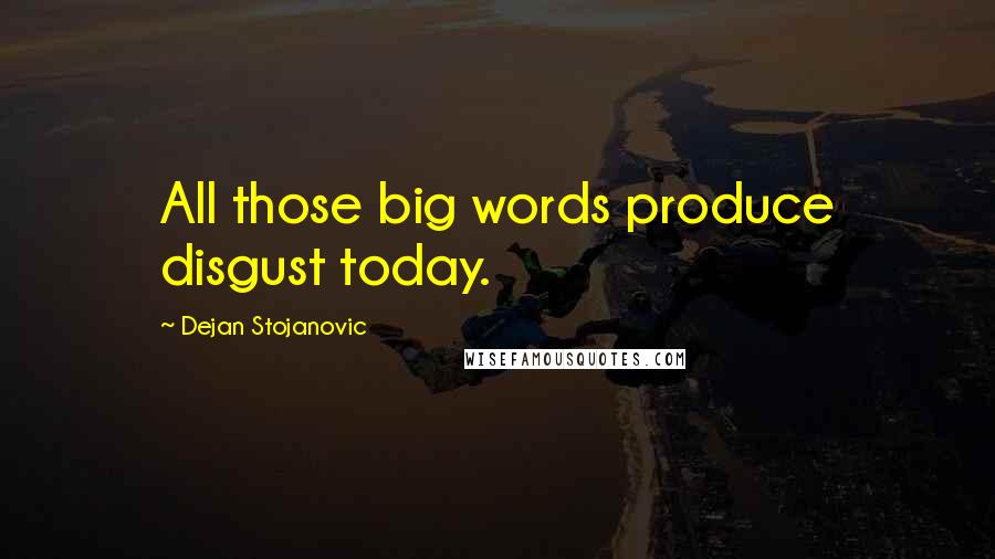 Dejan Stojanovic Quotes: All those big words produce disgust today.