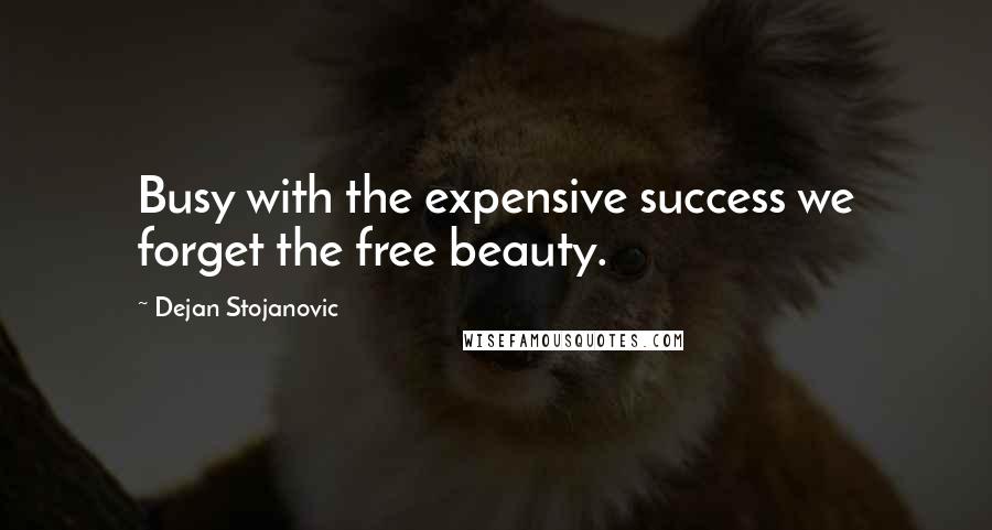 Dejan Stojanovic Quotes: Busy with the expensive success we forget the free beauty.