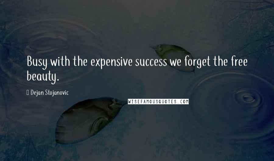 Dejan Stojanovic Quotes: Busy with the expensive success we forget the free beauty.