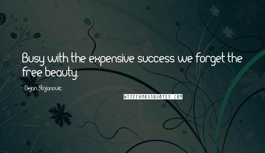 Dejan Stojanovic Quotes: Busy with the expensive success we forget the free beauty.